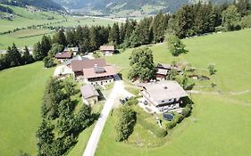 Steinerbauer